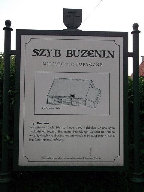 Szyb Bużenin