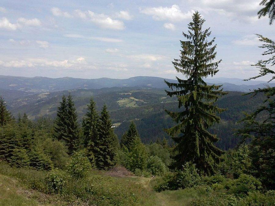 Na szczycie czekają nas takie widoki