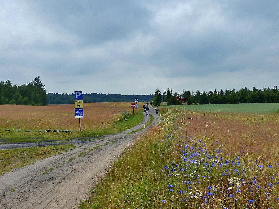 Weekend w Nowych Polaszkach Na trasie wycieczki.Farma strusi afrykańskich - Garczyn