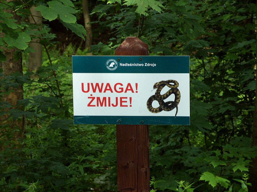 Dalej w stronę Zieleńca napotykamy tabliczkę z ostrzeżeniem o koleżankach z pracy ;)) i po premii ;)