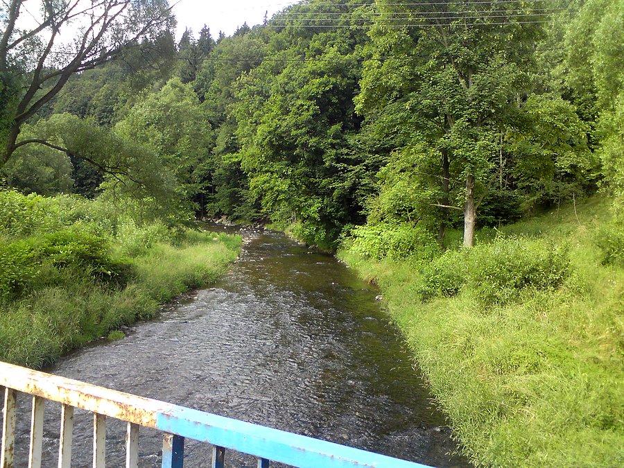 Bystrzyca