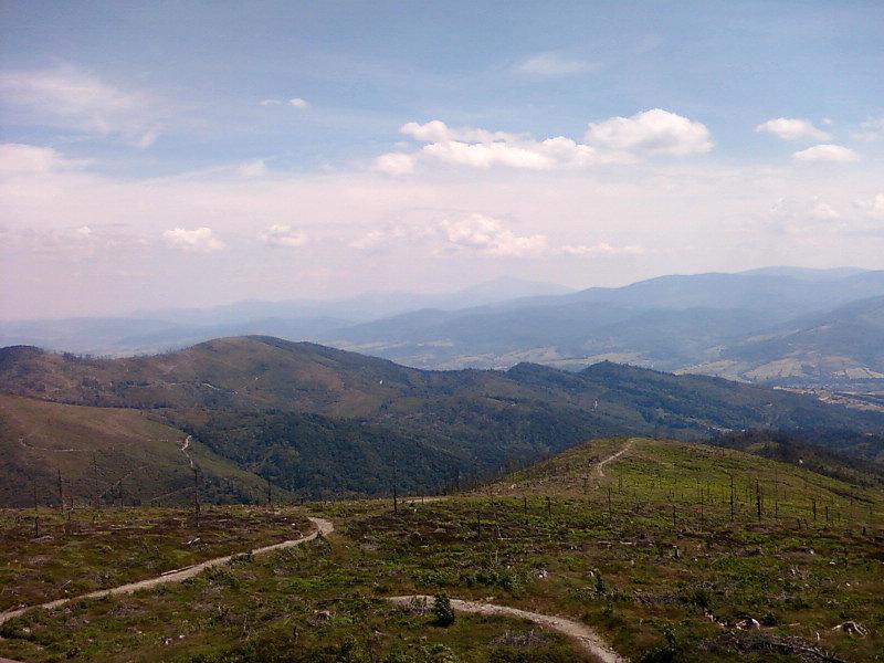 Wycięty las na Baraniej Górze