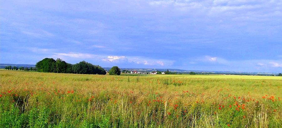 Widok z okolic przejścia granicznego, w oddali kościół w Syryni