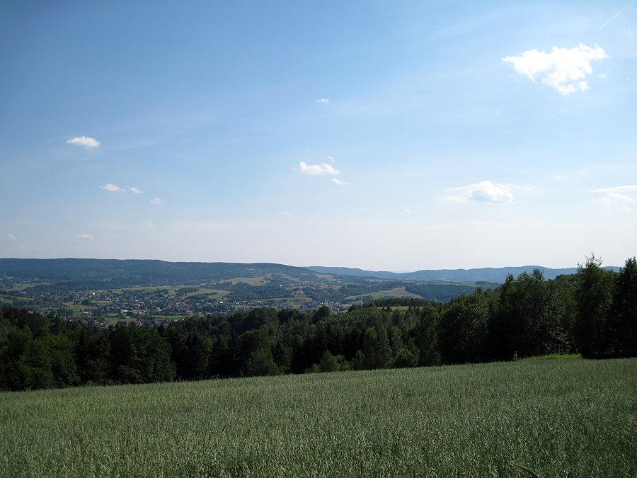 Strzyżów w dole