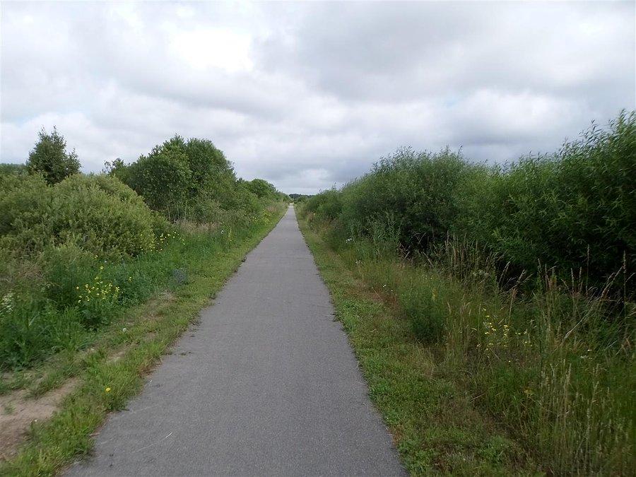 Marzenie rowerzystów