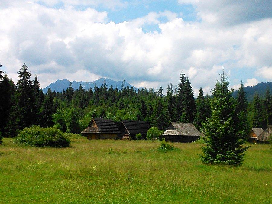 Szlak architektury drewnianej