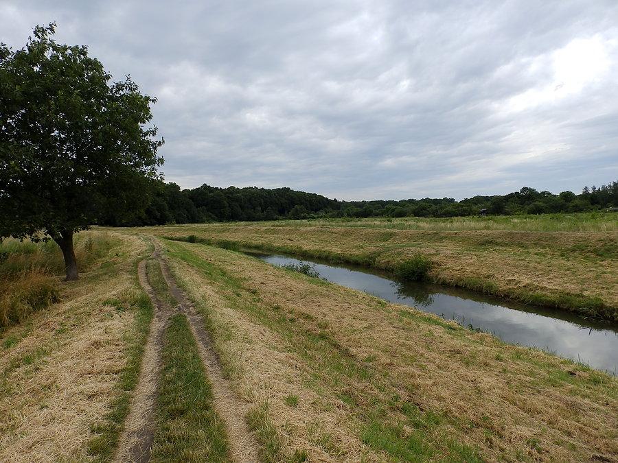 Wał nad Ślęzą w okolicy al. Piastów
