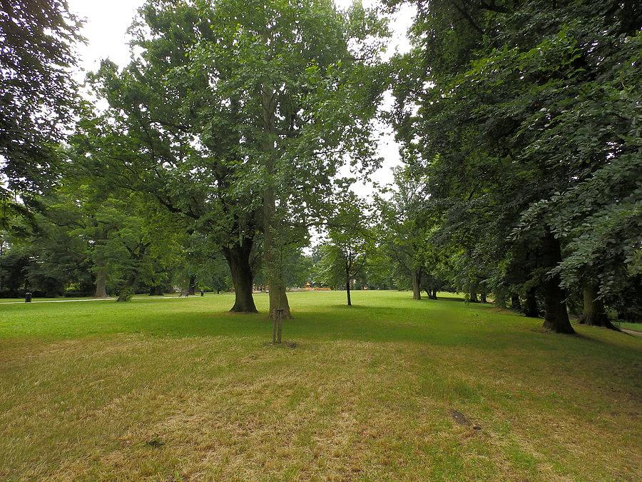 Park na Klecinie