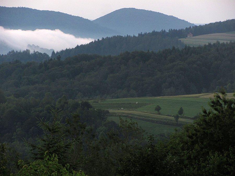 Chmurka mgły nad jeziorem
