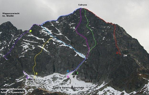 Cubryna topo
