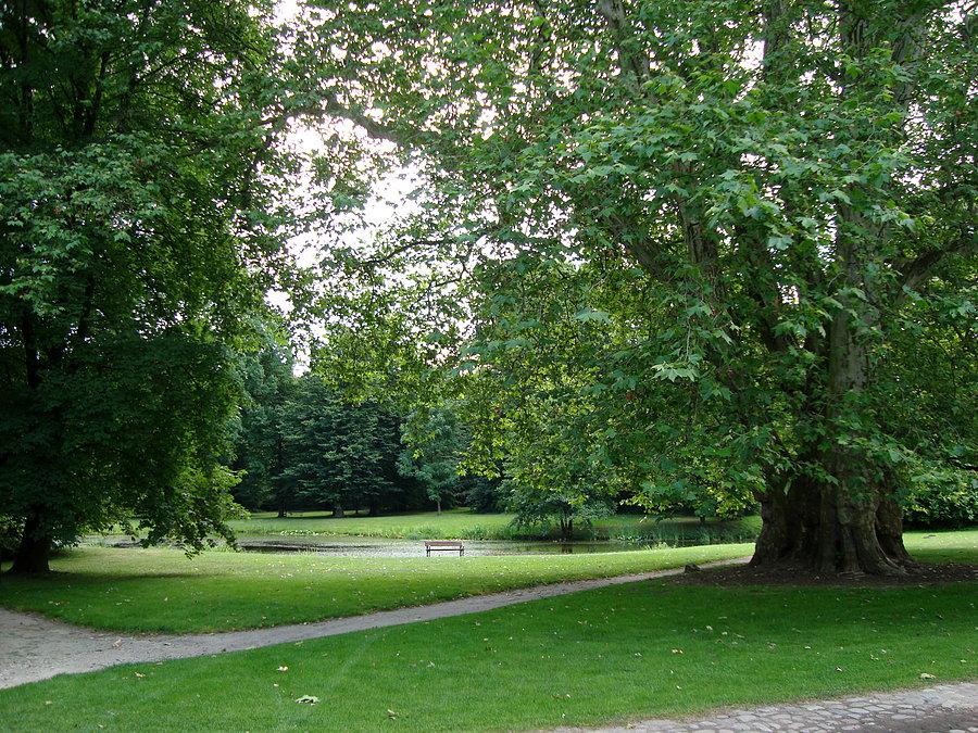 Park w Dobrzycy