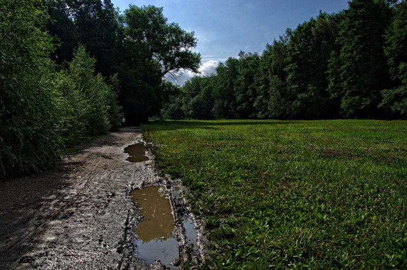 Chyba padało