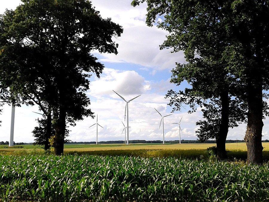 Farma wiatrowa w okolicach Trzebiatowa
