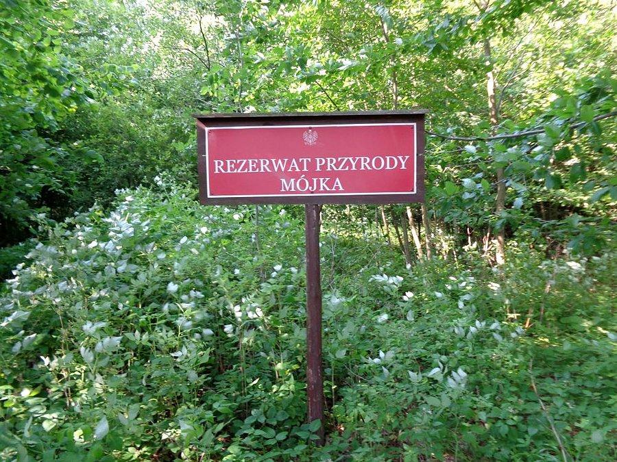 Rezerwat Mójka