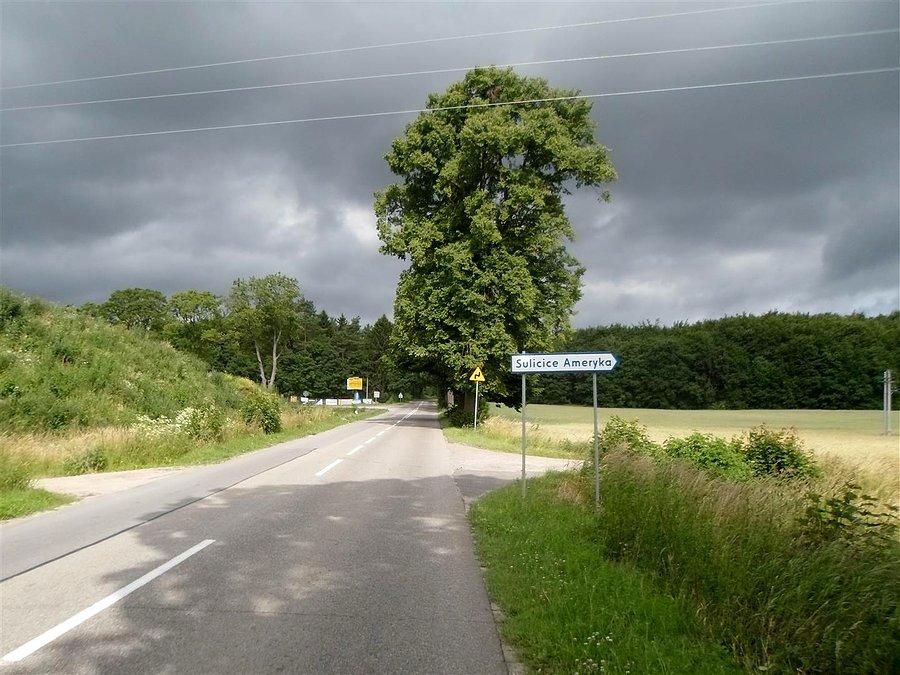 Ameryka nie dla mnie, pojechałem prosto