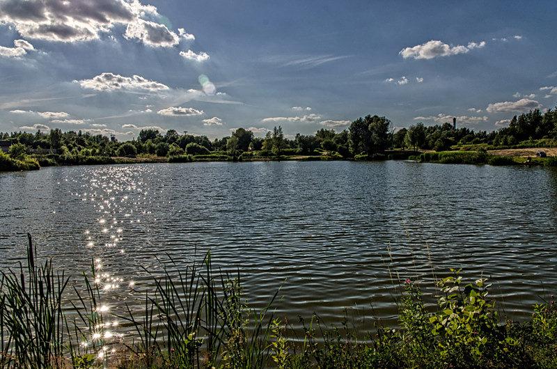 Staw w Rudzie Śląskiej