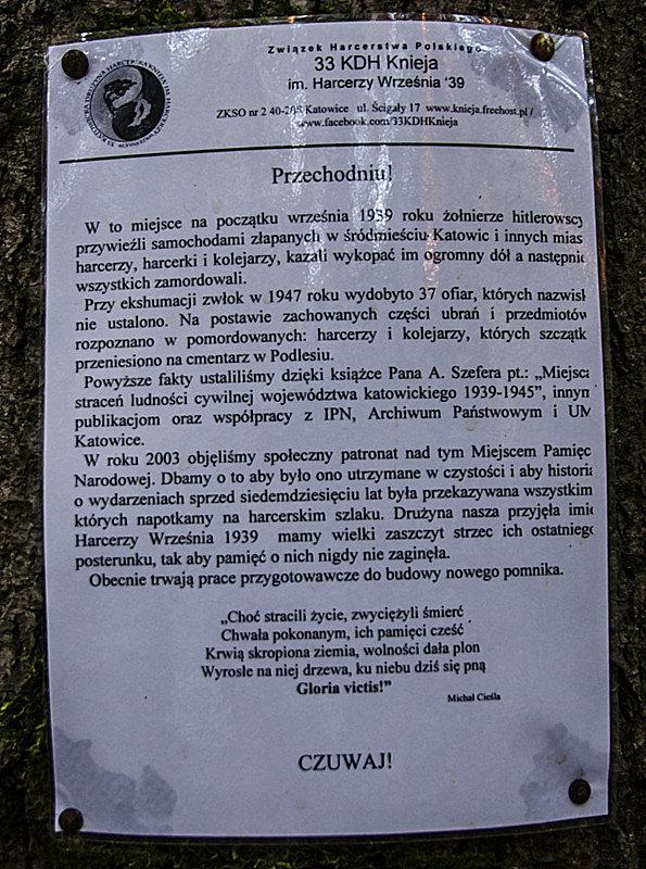Informacja to podstawa