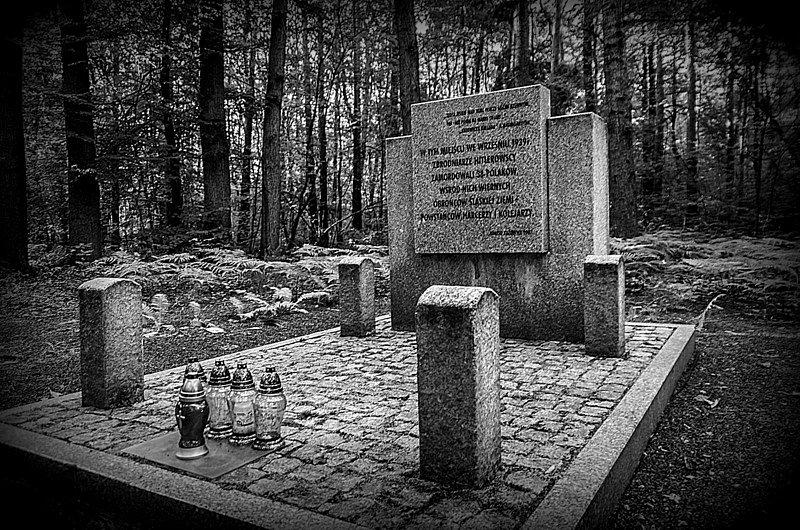 Kolejny z chyba 5 pomników w okolicznych lasach