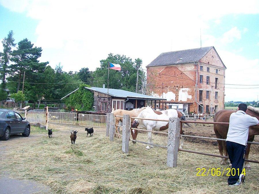 Ameryka w Czechach