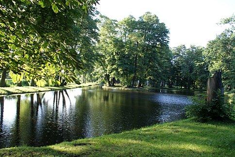 W parku pałacowym