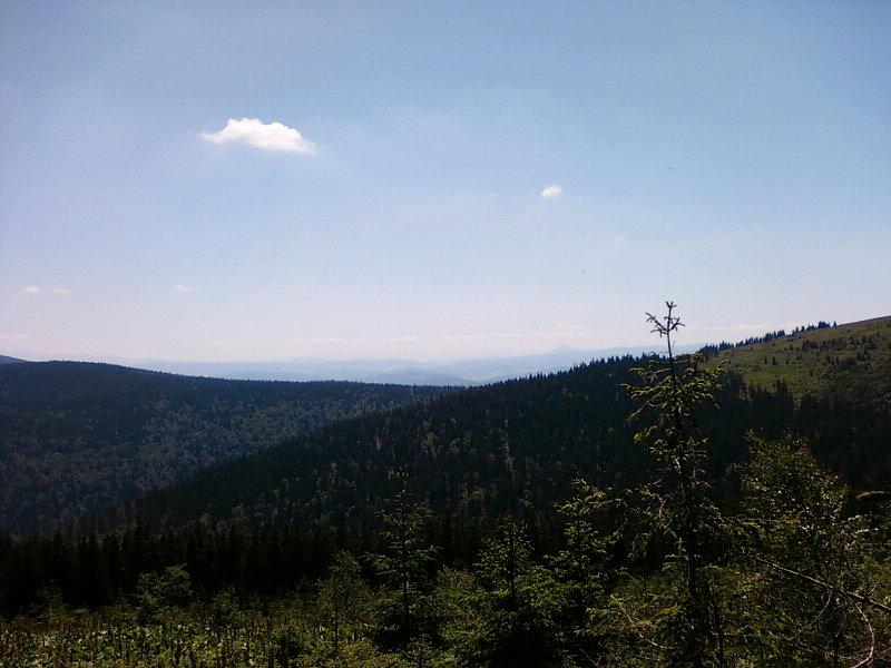 Tatry na horyzoncie (ze zboczy Romanki)