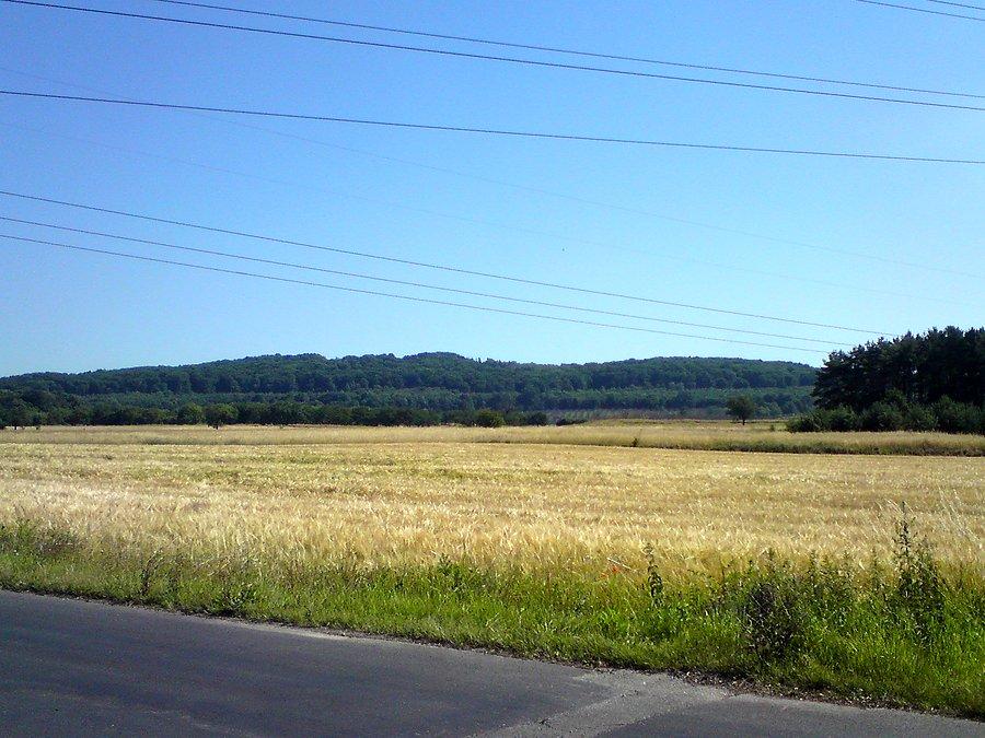 Góra Św. Anny