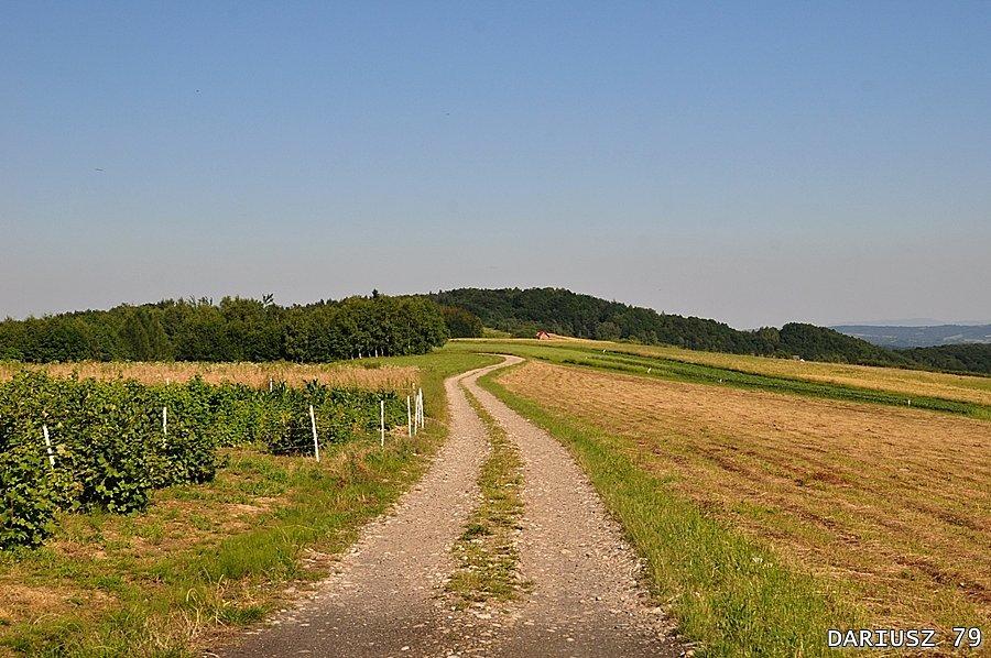 Jaworsko - niebieski szlak pieszy
