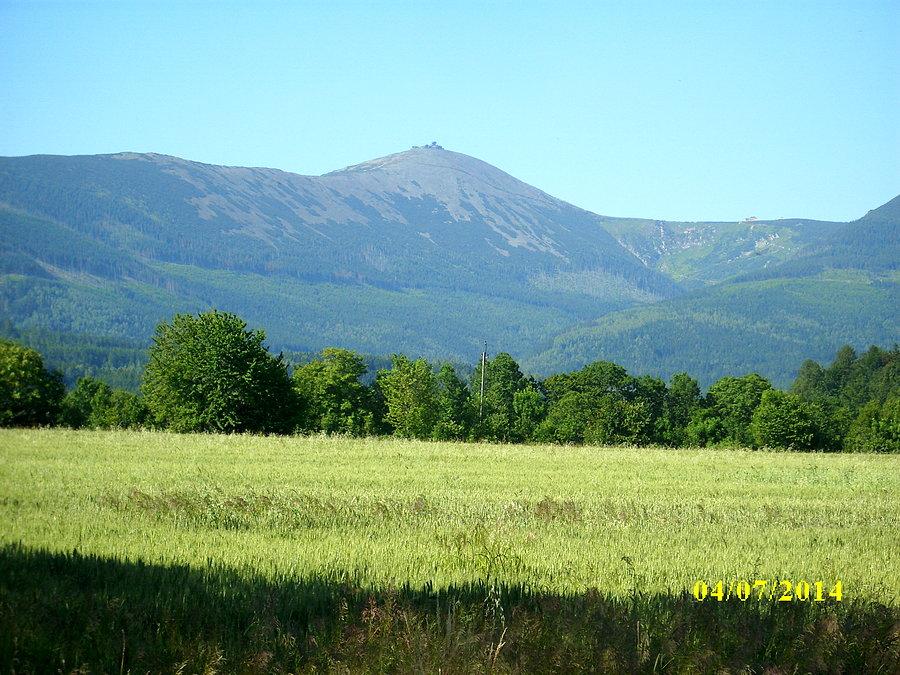Widok na Śnieżkę z okolic Kowar