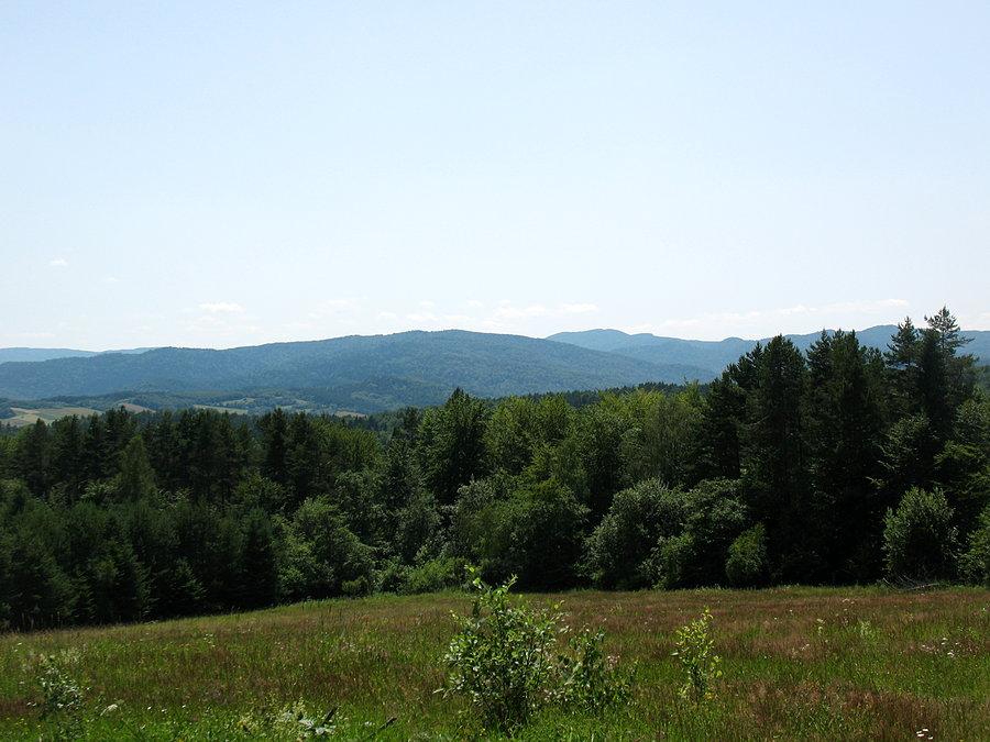 Korbania (894 m.n.p.m) i dalej Łopiennik (1069 m.n.p.m)