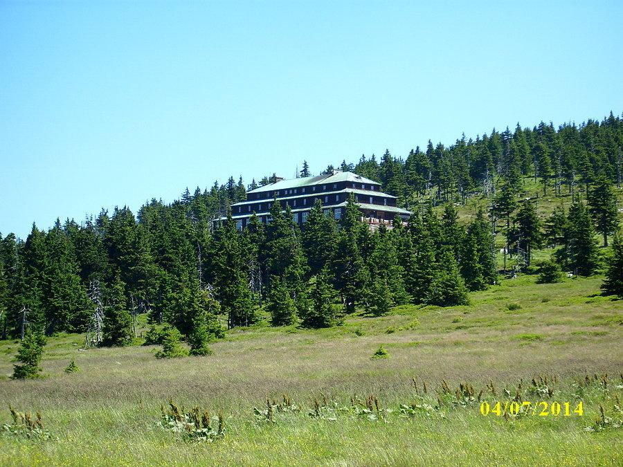 Odrodzenie