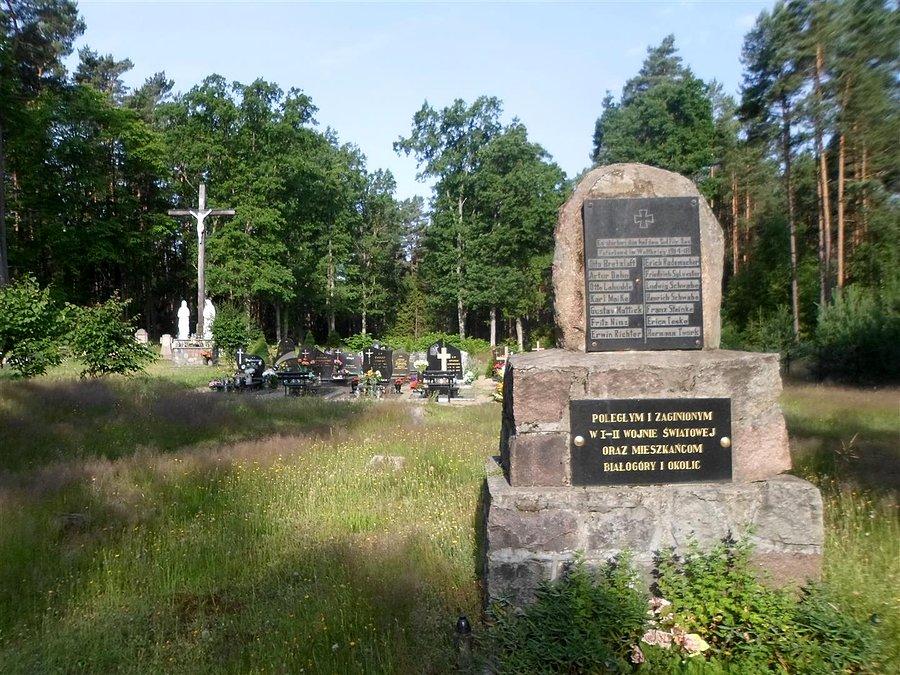 Pamięci zaginionych i poległych mieszkańców Białogóry