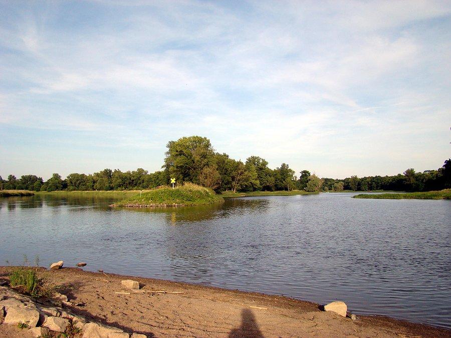 Odra w pobliżu Borkowa