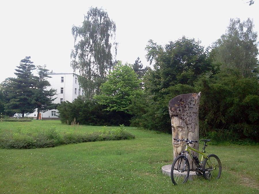 Park w Darkowie