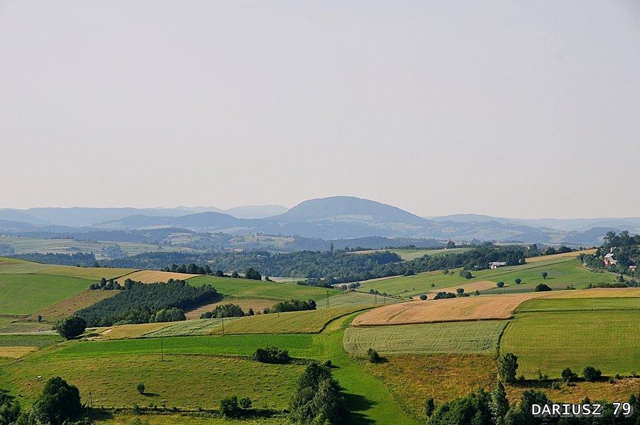 Bruśnik - Widok z wieży widokowej