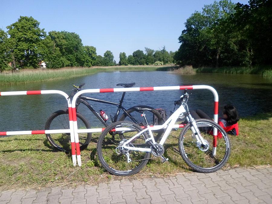 Staw w Skarszewie