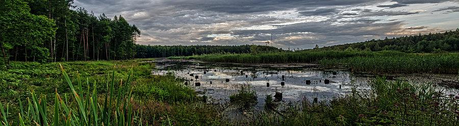 Wycięli drzewa, ale i tak jest pięknie