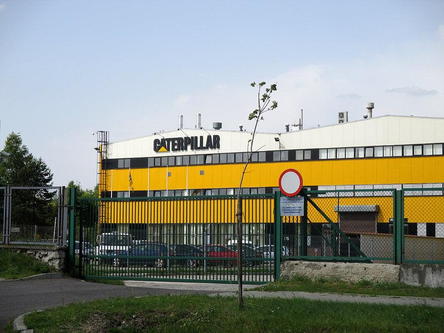 Gąsienica w Janowie Lubelskim