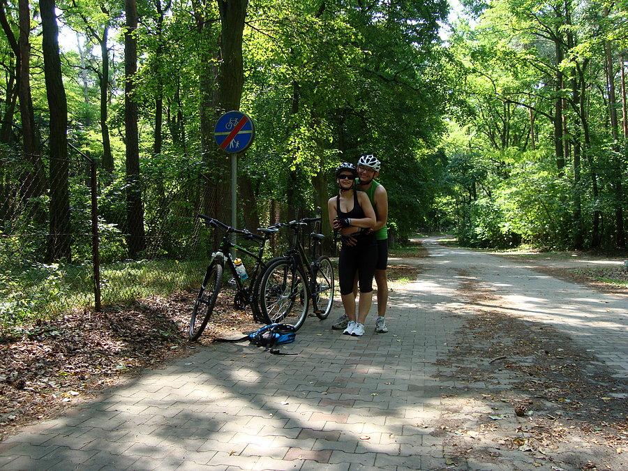 Park W Gołuchowie