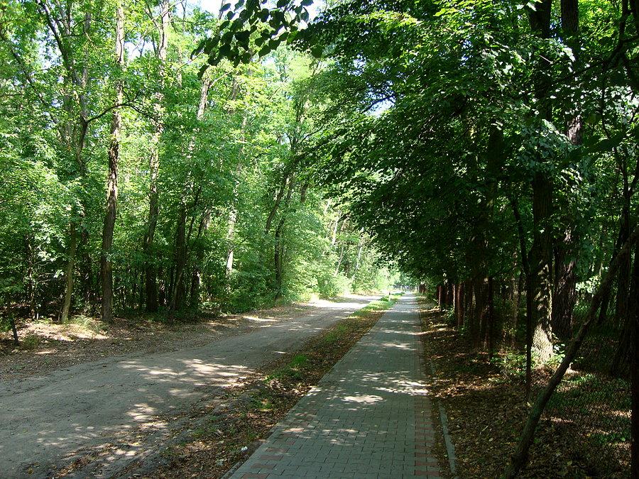 Park w Gołuchowie