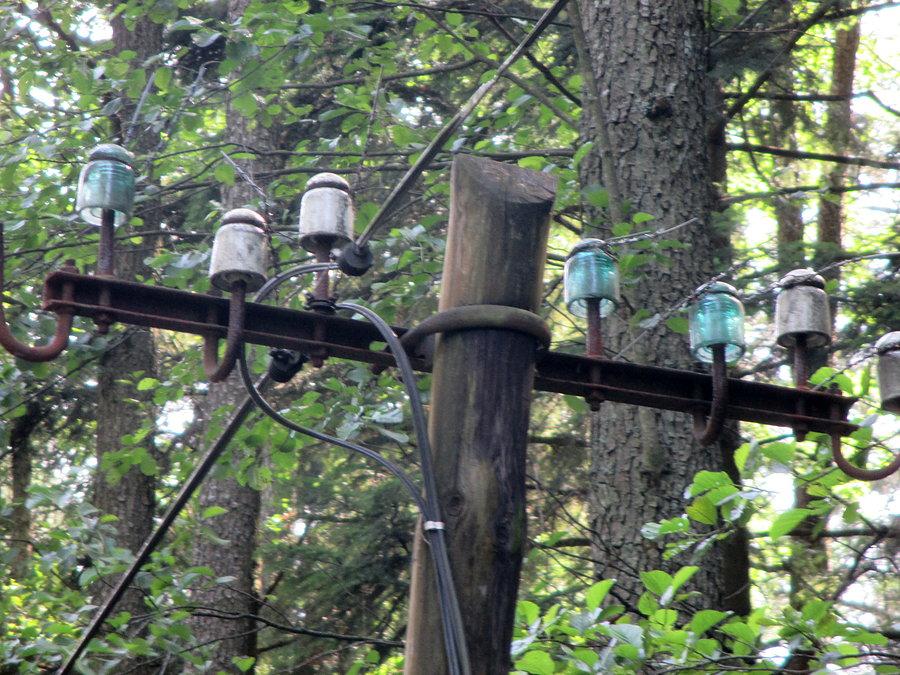 Oldschoolowa linia telefoniczna/wysokiego napięcia w Lasach Janowskich