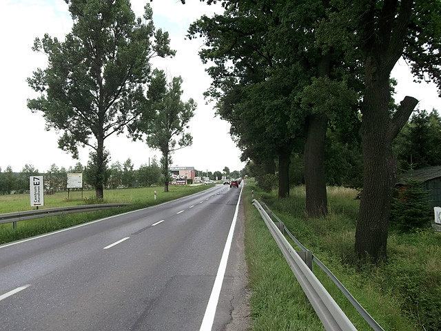 Obsadzona pięknymi dębami DK 52, mam nadzieję że ich nie wytną
