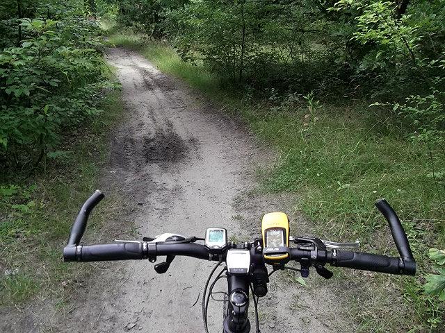 Koło Skawiny wjechałem w jakieś chaszcze