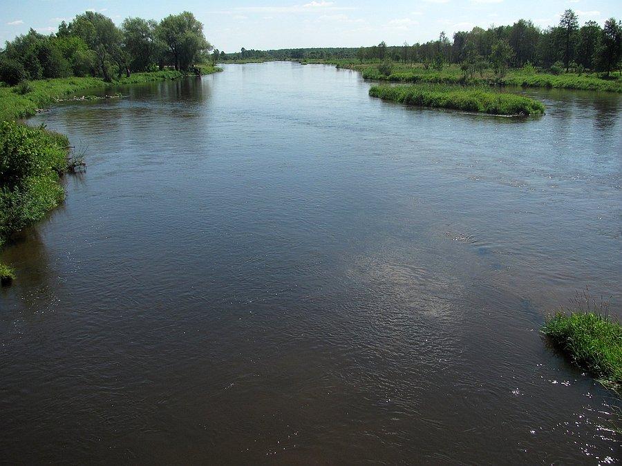 Okolice N.Miasta nad Pilicą