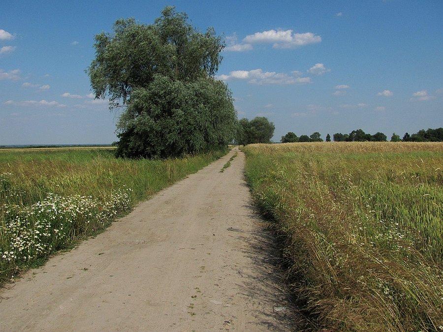 Droga wojewódzka z podsypką? spooooko