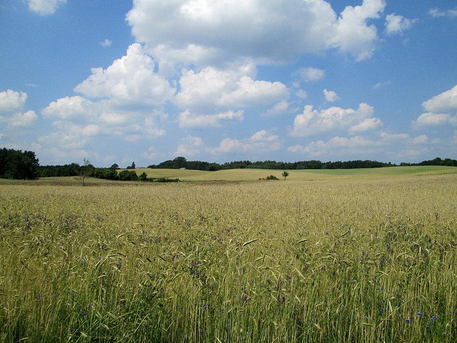 Gdzieś na Kaszubach