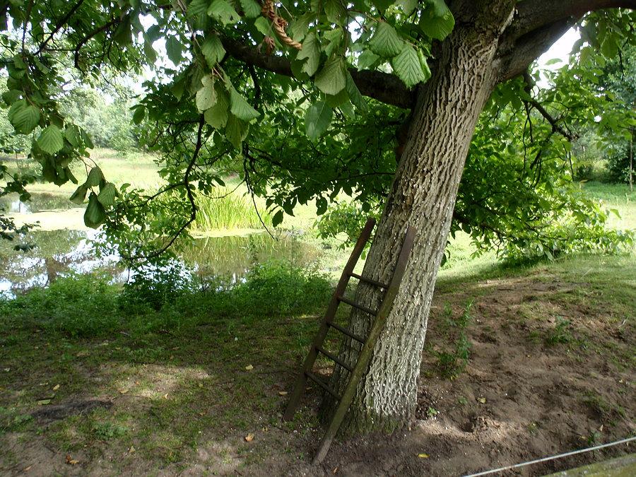 Nad stawem w Piłce