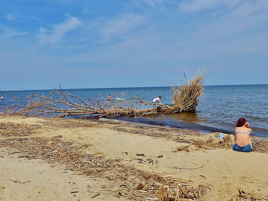 Wycieczka nad morze. Plaża w Mikoszewie