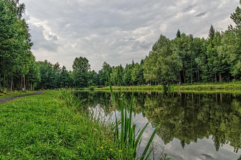 Staw Kiszka