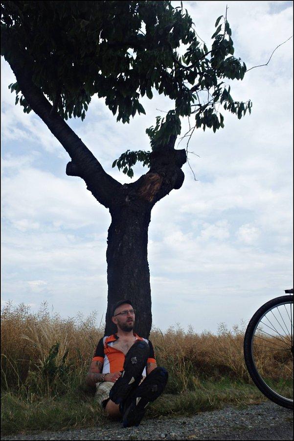 Pod drzewem czereśniowym ;)