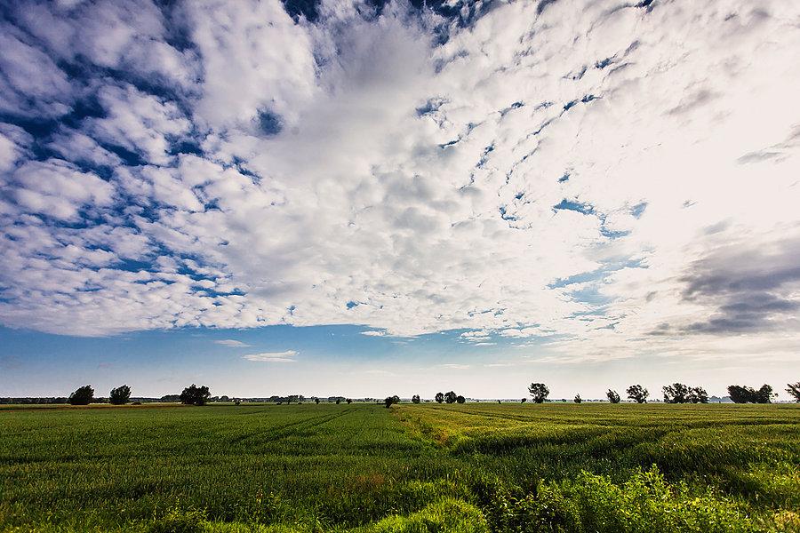 Żuławskie równiny
